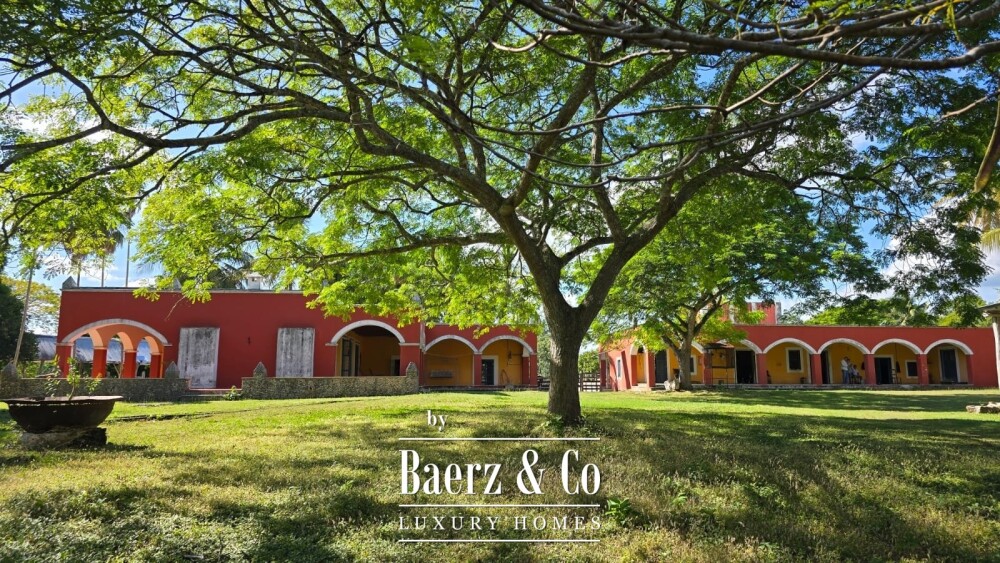Foto 8 1000w