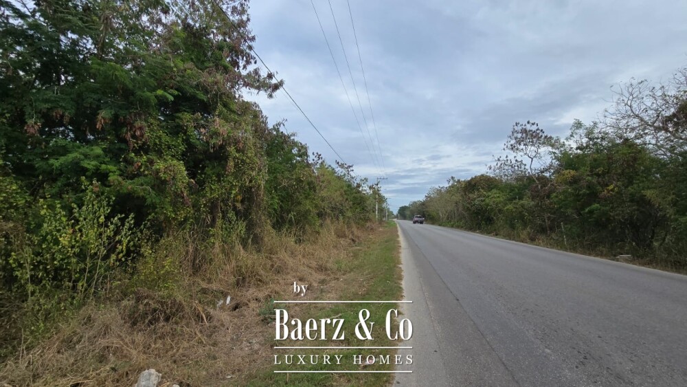 Foto 9 1000w