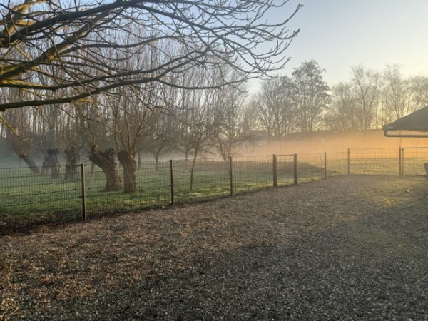 photo 82 Schaardijk 482 K001