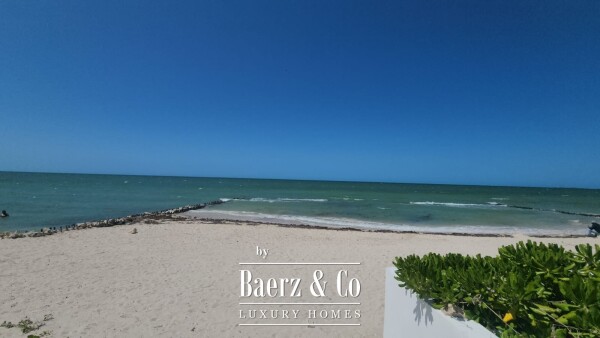 photo 24 17 894