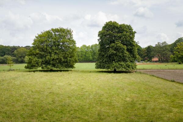 photo 52 Flessenbosweg 12