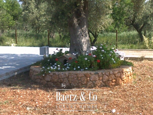 photo 3 Luxury Rural Estate in Magula, Evia