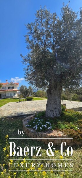 photo 14 Luxury Rural Estate in Magula, Evia