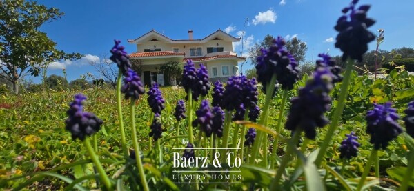 photo 16 Luxury Rural Estate in Magula, Evia