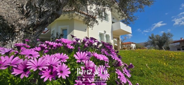 photo 31 Luxury Rural Estate in Magula, Evia