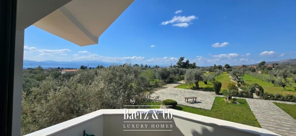 photo 38 Luxury Rural Estate in Magula, Evia