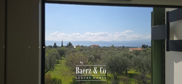 photo 39 Luxury Rural Estate in Magula, Evia