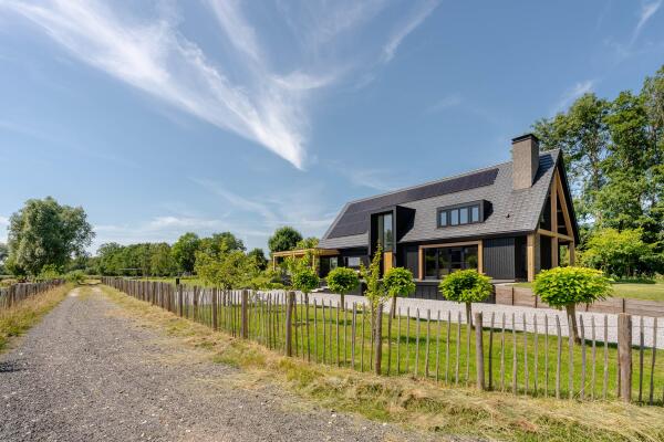 photo 38 Waver 51 A