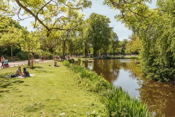 photo 42 Valeriusstraat 172 H